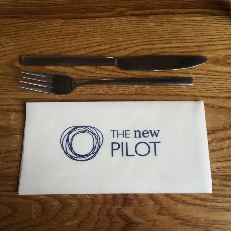 The_Pilot